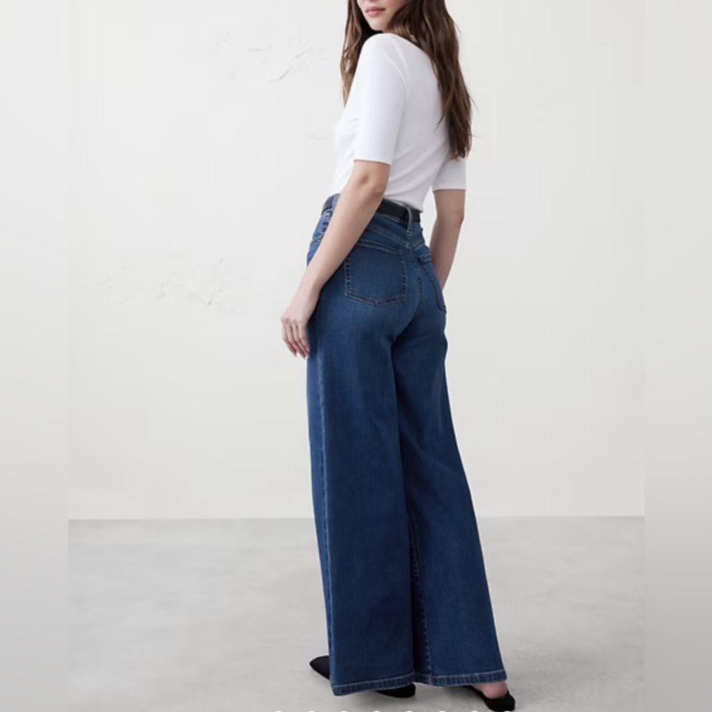 Banana Republic High Rise Pleated Wide Leg Jeans 28 Full Length Flowy